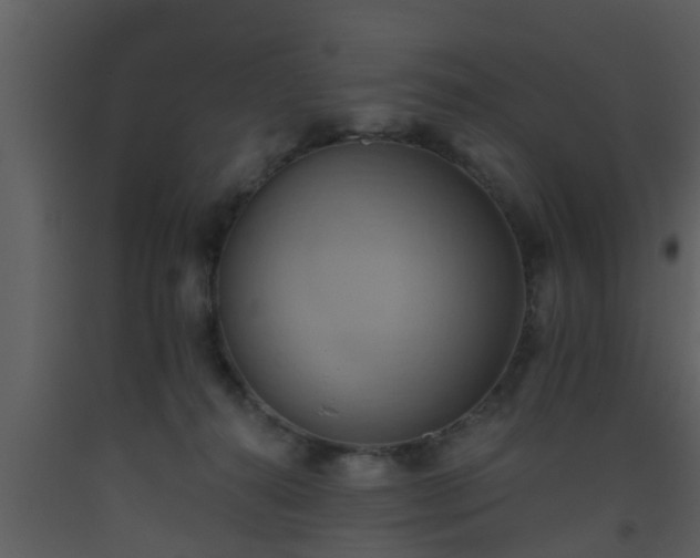 X0000093520272200710191338