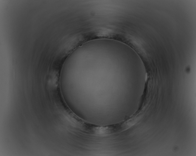 X0000093520273200710191338