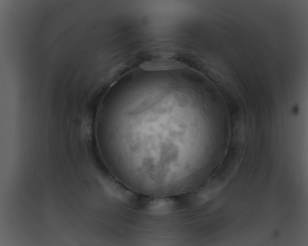 X0000093520274200710191338