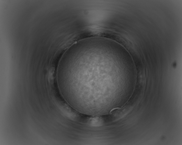 X0000093520275200710191338