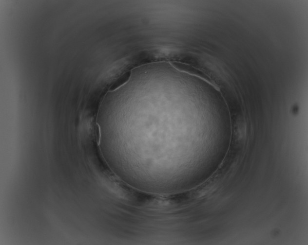 X0000093520276200710191338