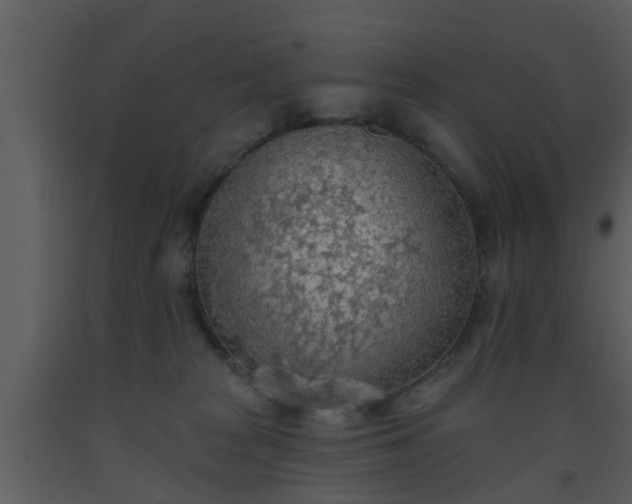 X0000093520277200710191338