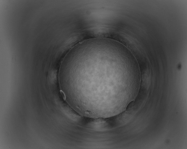 X0000093520278200710191338