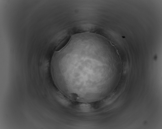 X0000093520279200710191338