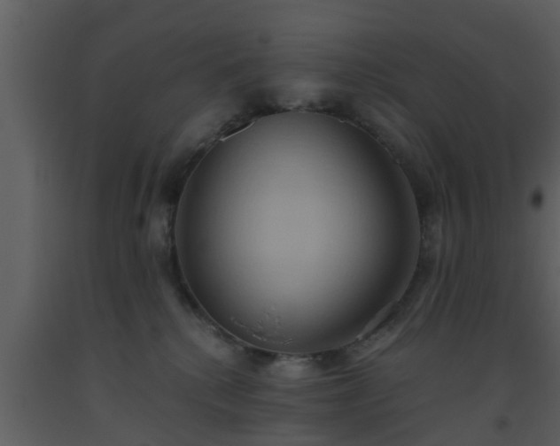 X0000093520280200710191338