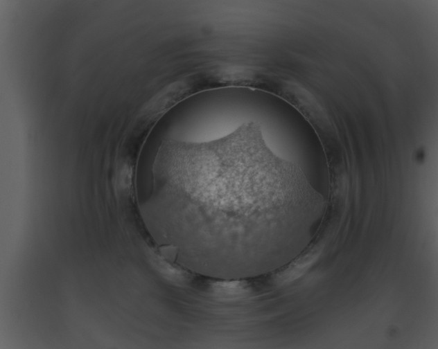 X0000093520281200710191338