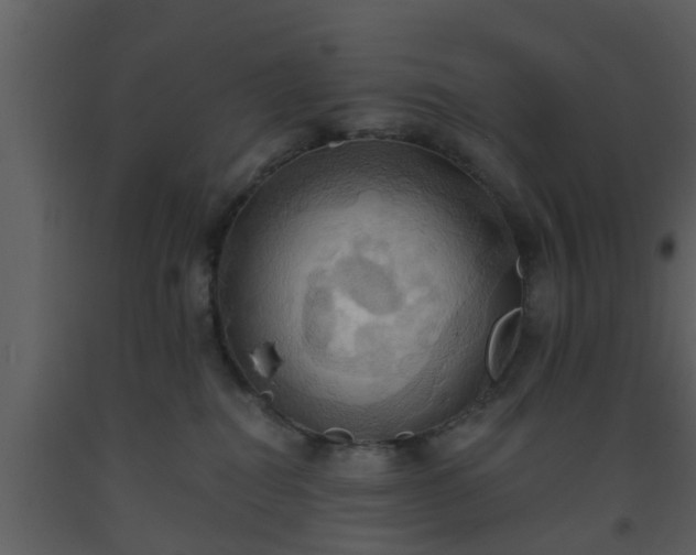 X0000093520282200710191338