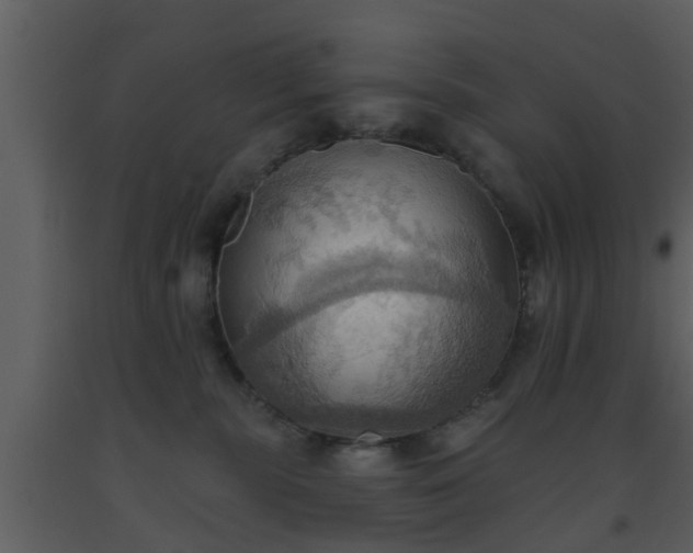 X0000093520283200710191338