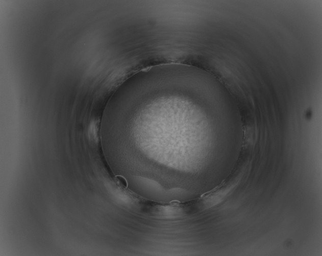 X0000093520286200710191338