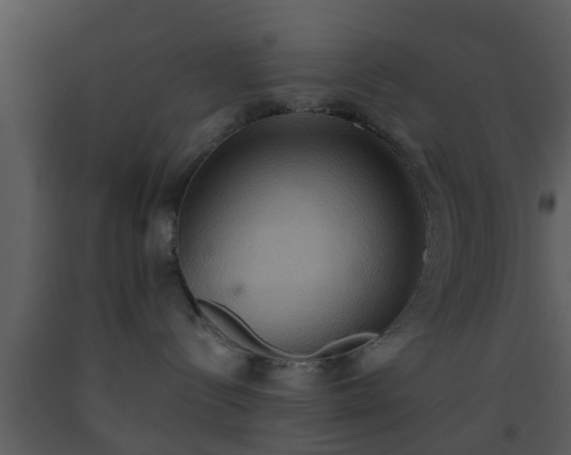 X0000093520288200710191338