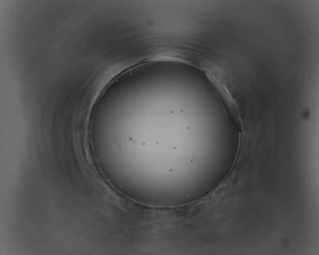 X0000093520289200710191338