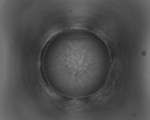 X0000093520290200710191338