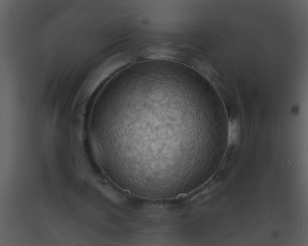 X0000093520291200710191338