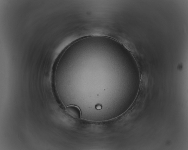 X0000093520292200710191338