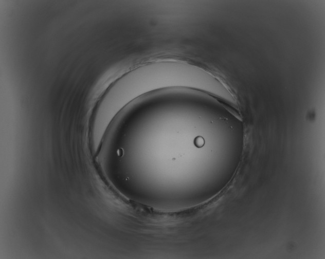 X0000093520293200710191338