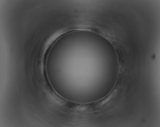 X0000093520294200710191338