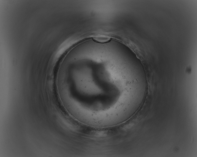 X0000093520295200710191338