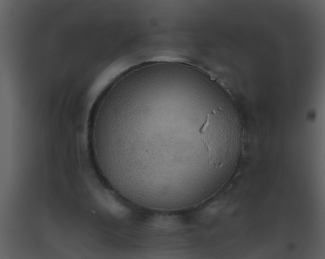 X0000093520296200710191338