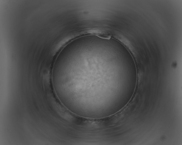 X0000093520297200710191338