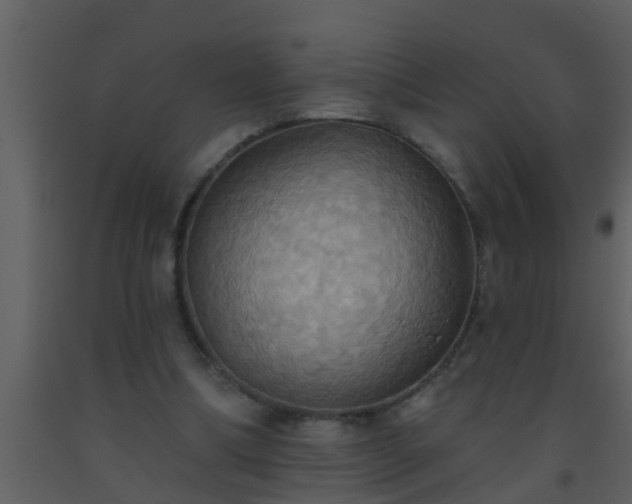 X0000093520298200710191338