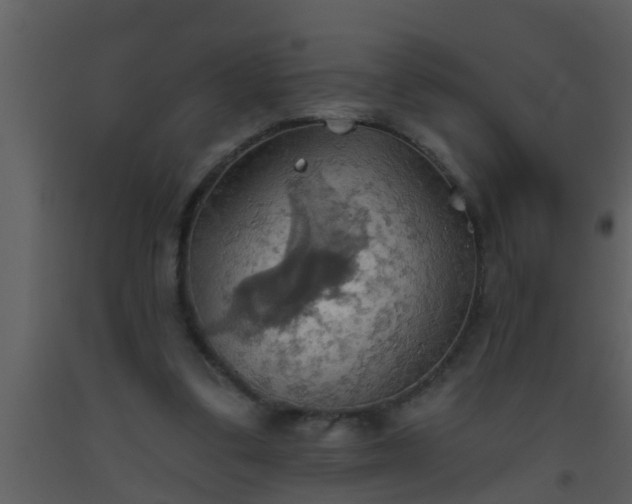 X0000093520299200710191338