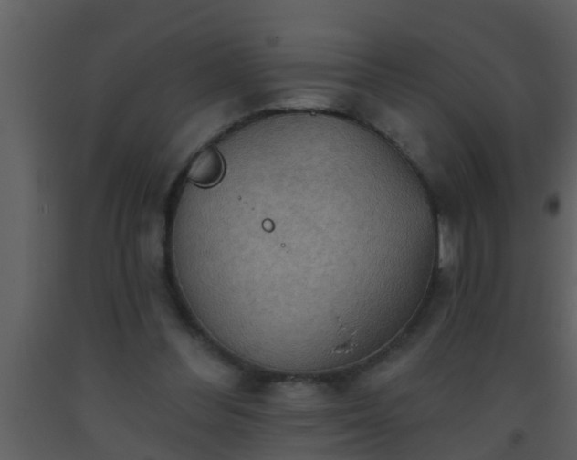 X0000093520300200710191338