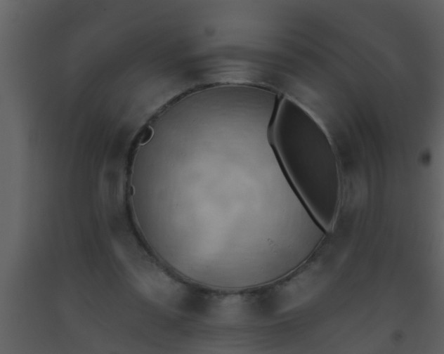 X0000093520301200710191338