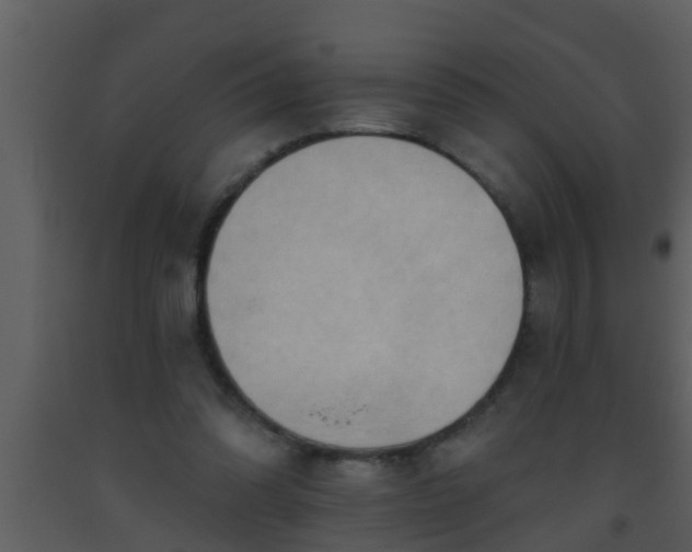 X0000093520302200710191338