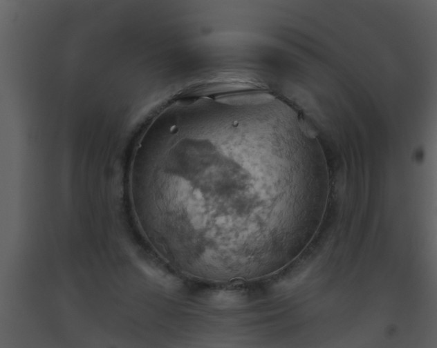 X0000093520303200710191338