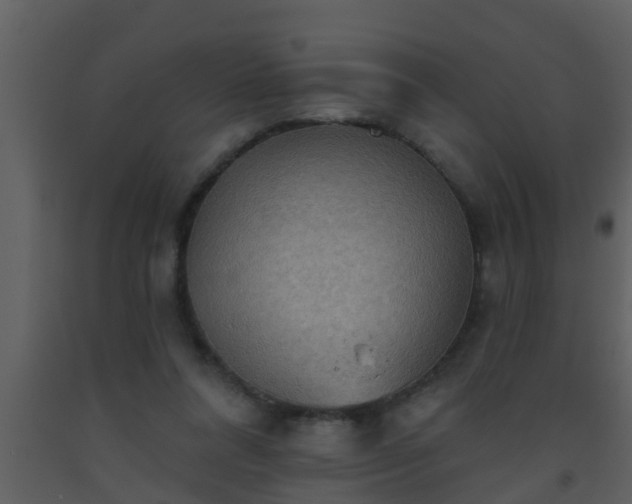 X0000093520304200710191338