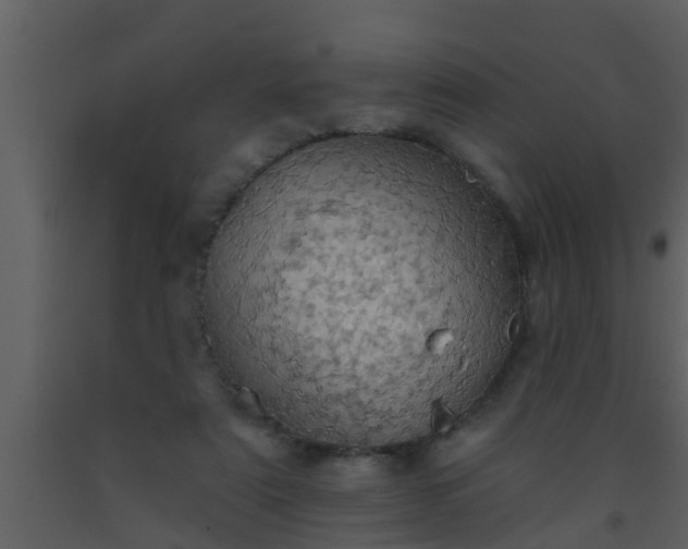 X0000093520307200710191338