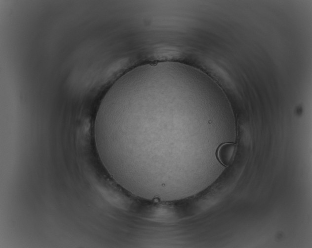 X0000093520308200710191338