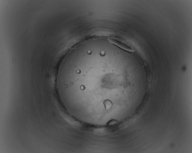 X0000093520309200710191338