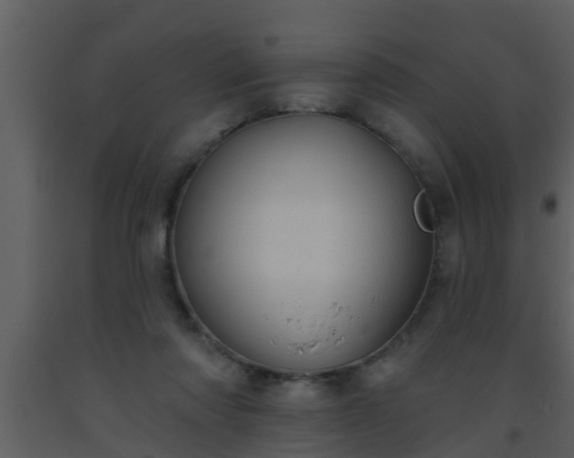 X0000093520310200710191338