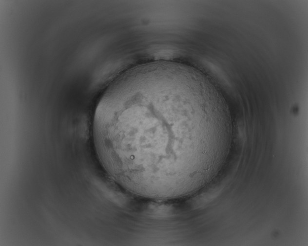 X0000093520311200710191338