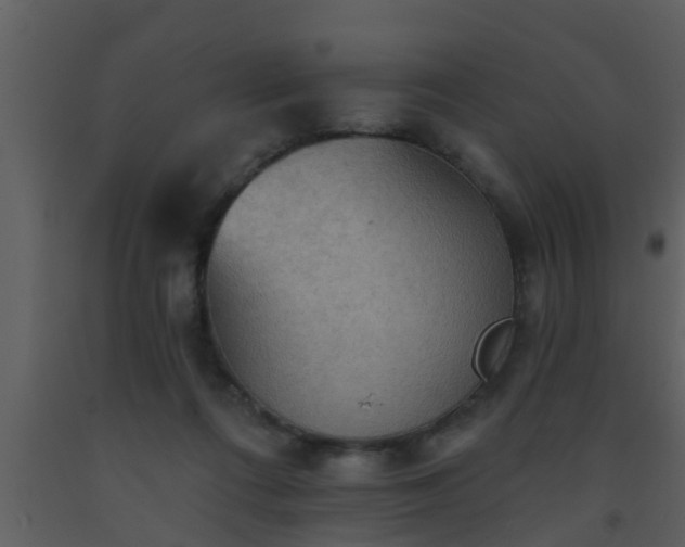 X0000093520312200710191338