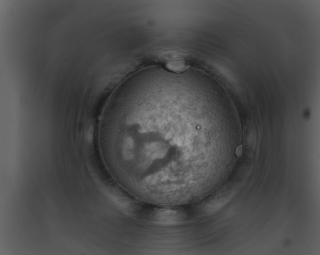 X0000093520315200710191337