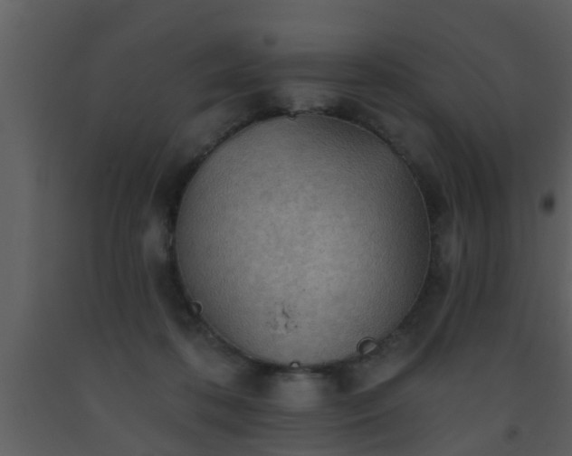 X0000093520316200710191337