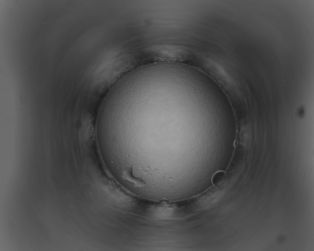 X0000093520318200710191337