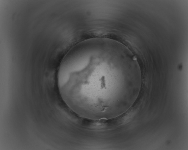 X0000093520319200710191337