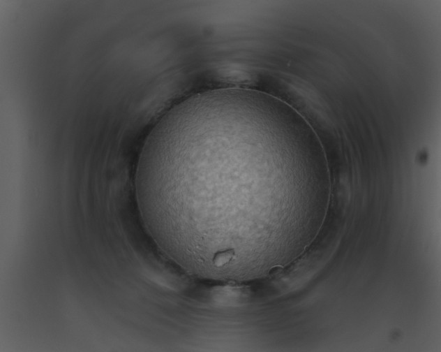 X0000093520320200710191337