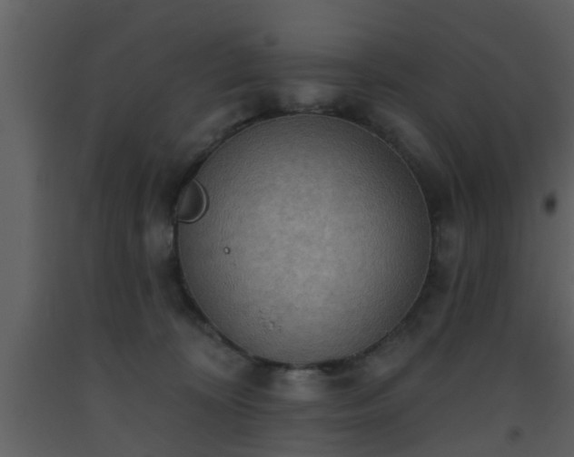 X0000093520324200710191337