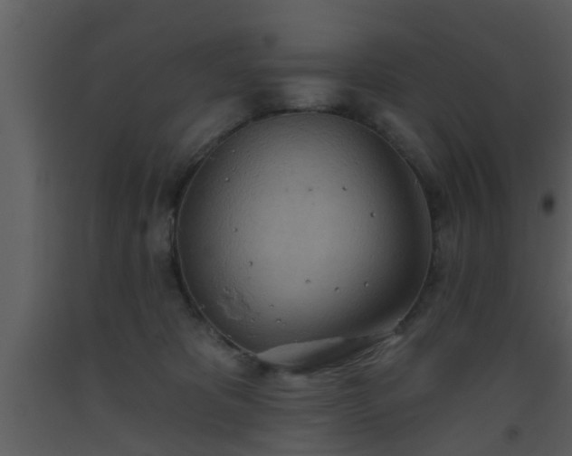 X0000093520325200710191337