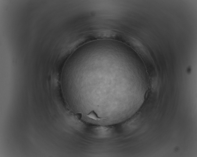 X0000093520326200710191337