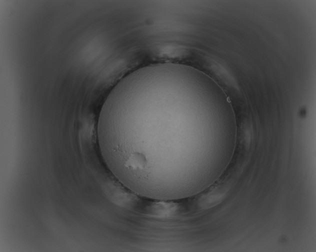 X0000093520328200710191337