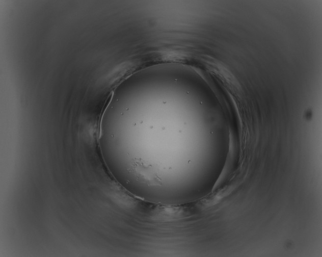 X0000093520329200710191337