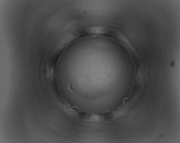 X0000093520330200710191337