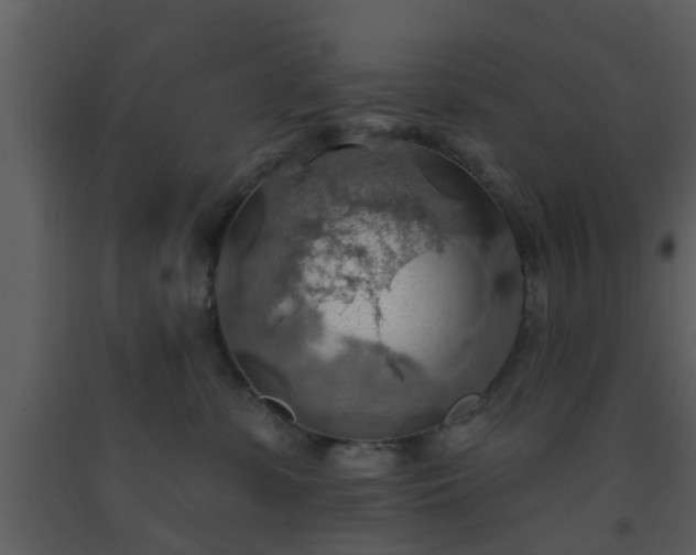 X0000093520331200710191337