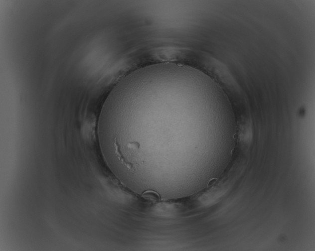 X0000093520332200710191337