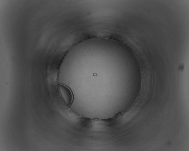 X0000093520336200710191337